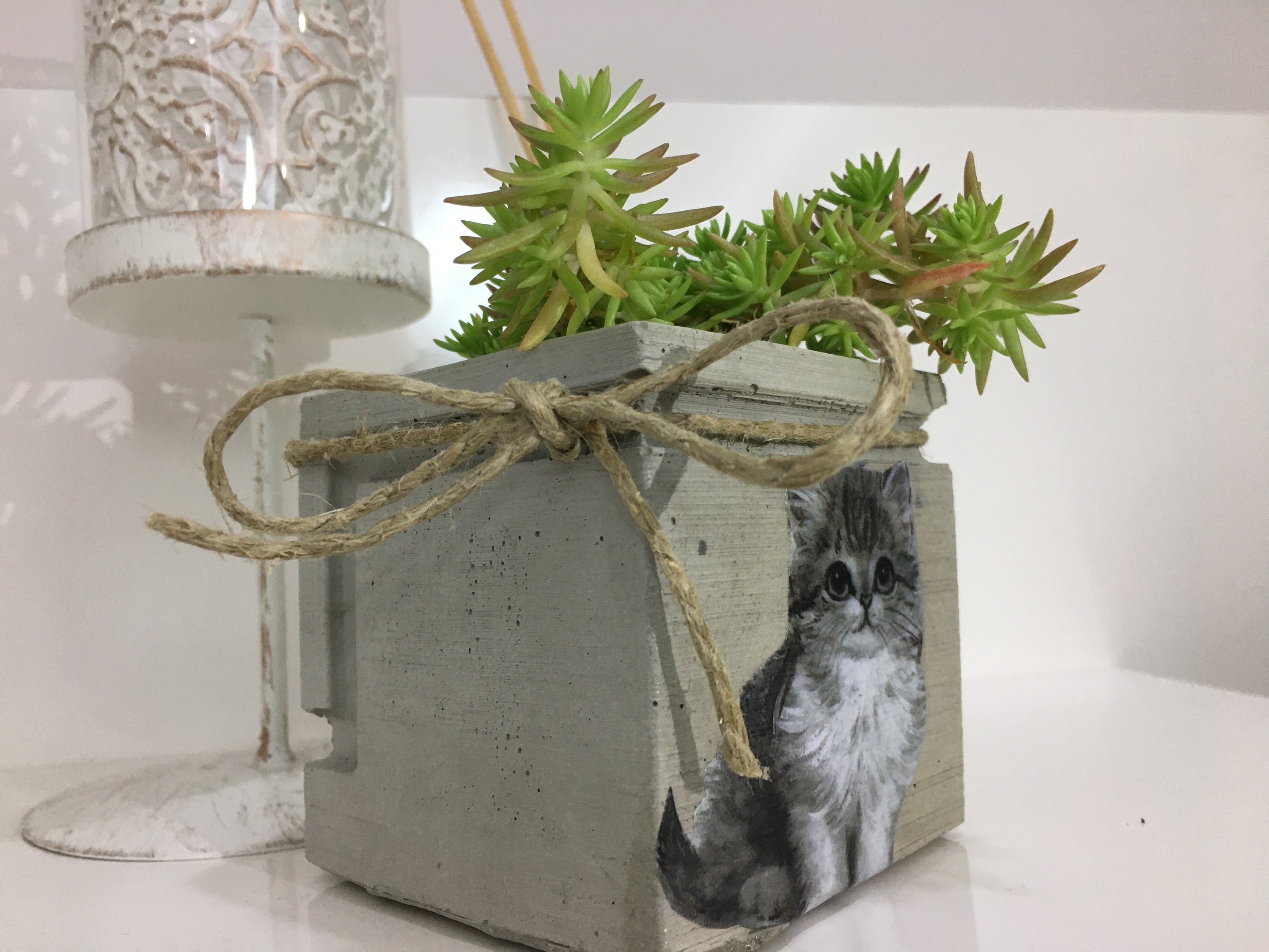 Custom Cat Memorial Planter Photo Printed Square Flower Pot Etsy