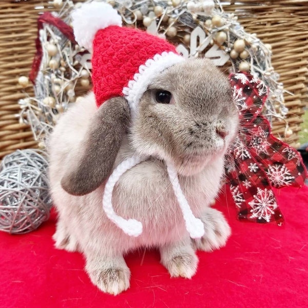 Bunny Rabbit Cat Red Santa Hat Crochet Knit