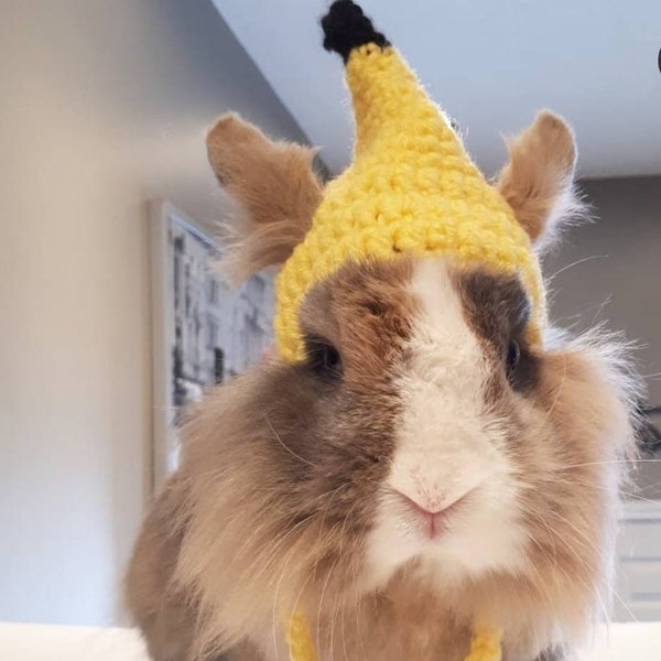 Bunny Rabbit Cat Novelty Hat Yellow Banana Crochet Knit