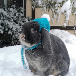The Blueberry Hat Bunny Rabbit Cat Crochet Knit Hat