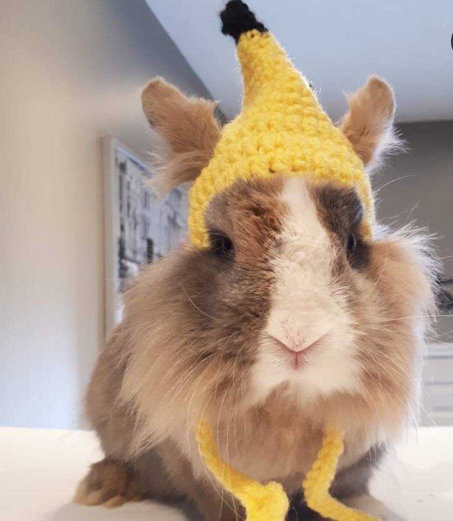 Bunny Rabbit Cat Novelty Hat Yellow Banana Crochet Knit - Etsy