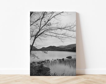 Eagle Lake Acadia National Park Print: Black and White Maine Landscape (13x19)