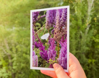 Purple Flower with Single White Flower Postcard