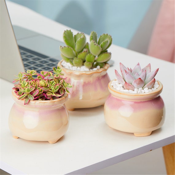 8pcs/lot Ice Crack Glaze Creative Mini Flower Pot Colorful Desktop