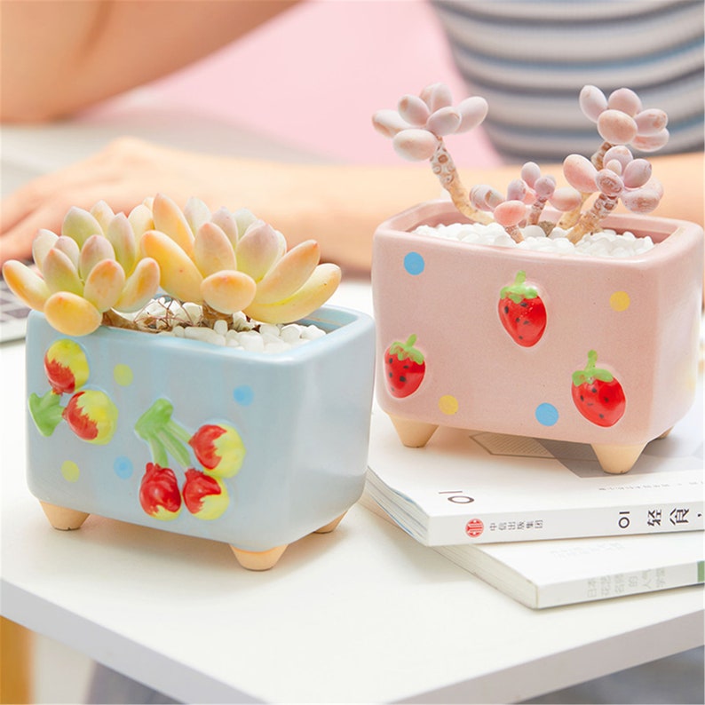 Colorful fruit succulent planter,lovely flower pots,mini planter Colorful fruit succulent planter,lovely flower pots,mini planter