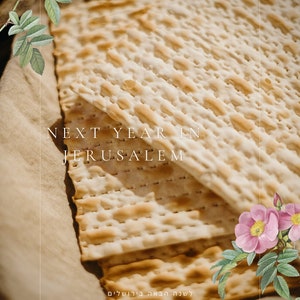 Passover Haggadah Digital Download image 7