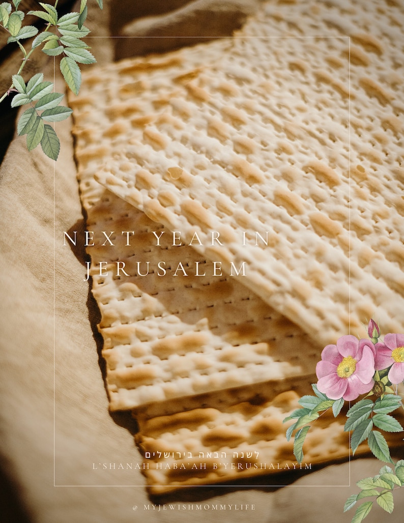 Passover Haggadah Digital Download image 7