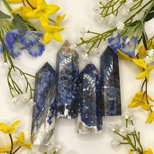 Puede incluir: Cuatro puntas de cristal de sodalita azul y blanco dispuestas en fila. Las puntas están pulidas y tienen una textura natural estriada. Los cristales están rodeados de flores amarillas y blancas.