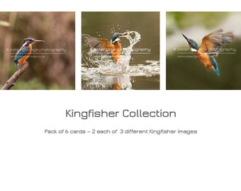 Pack of 6 Cards - Kingfisher Collection - Square 150mm x 150mm - Unique Photographic Greetings Cards