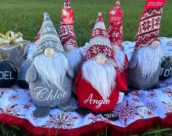 Personalized Christmas Gnomes with names, Custome Gnomes for Decoration, Christmas Gifts, Family Gnomes