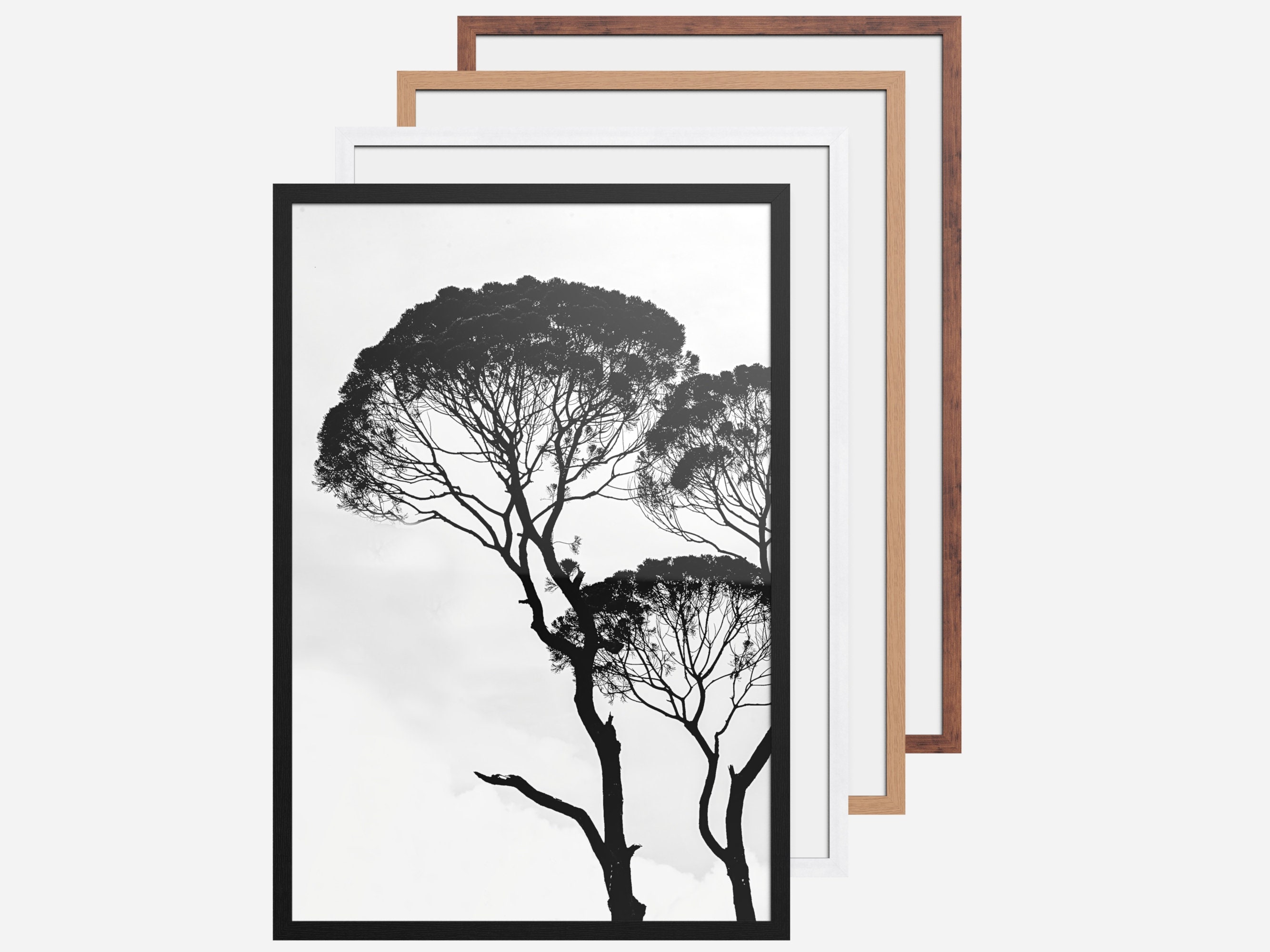 Black Frame White Picture Frame Rustic Photo Frame A2 A3 Etsy UK