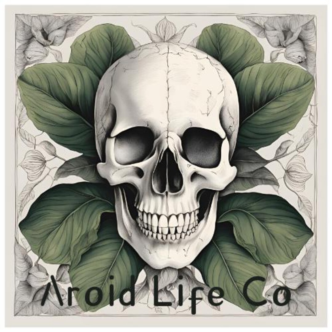 Aroid Life Co Skull Sticker - Etsy