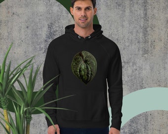 Unisex eco raglan hoodie - Dioscorea discolor