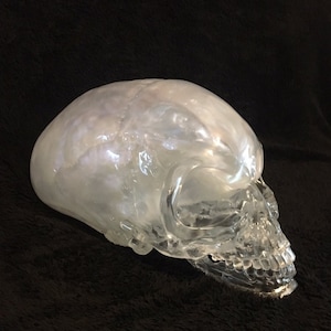 Indiana Jones Crystal Skull life size 1:1 full scale doom raiders