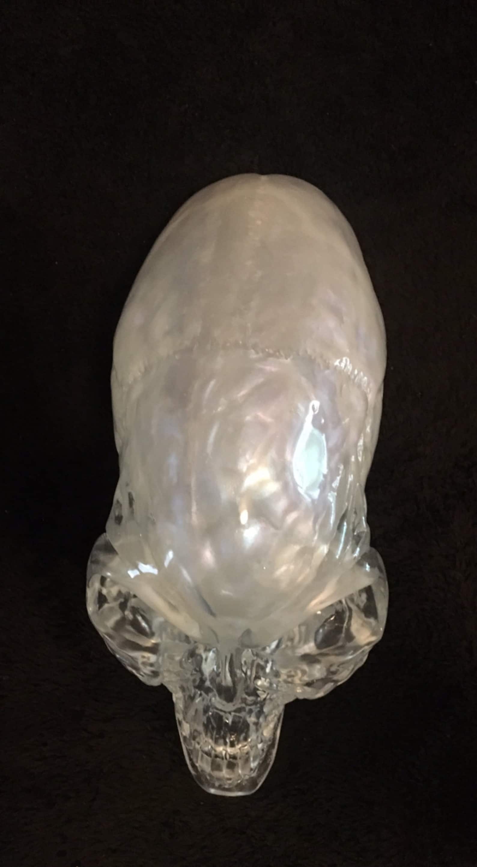 indiana-jones-crystal-skull-life-size-1-1-full-scale-doom-etsy