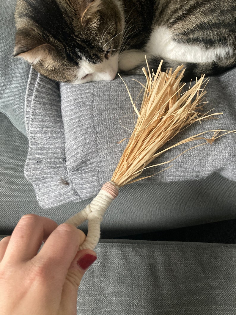 Liesel, cat toy, cat game, natural cat toy, cat activity image 3