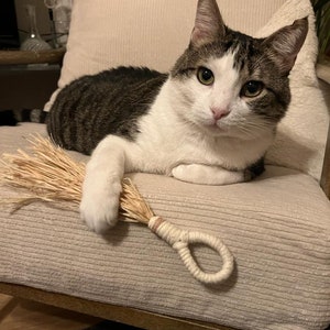 May include: A tabby and white cat with green eyes is lying on a beige couch with a brown wooden frame. The cat is holding a natural fiber cat toy with a rope handle.