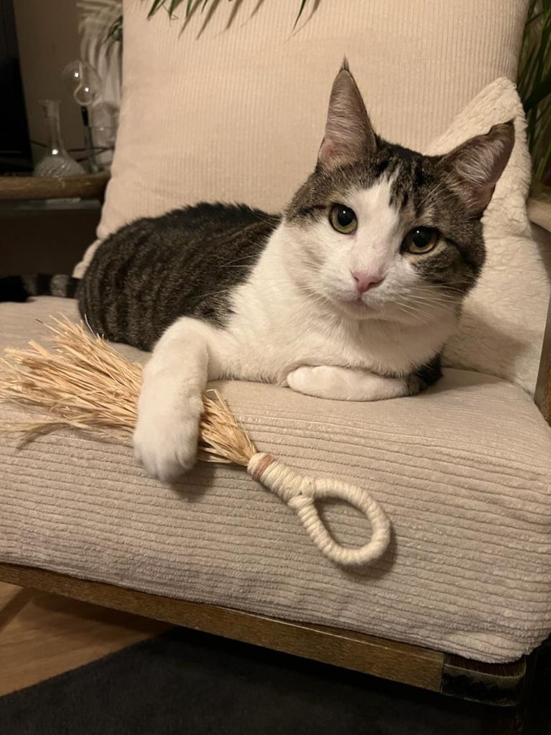 May include: A tabby and white cat with green eyes is lying on a beige couch with a brown wooden frame. The cat is holding a natural fiber cat toy with a rope handle.