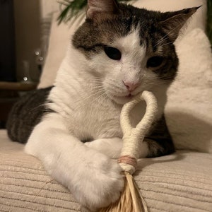 Liesel, cat toy, cat game, natural cat toy, cat activity image 6