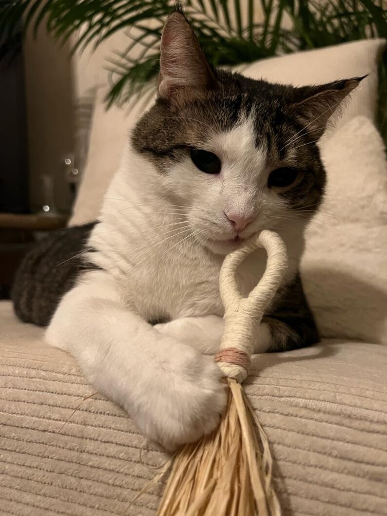 Liesel, cat toy, cat game, natural cat toy, cat activity image 6