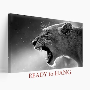 Lioness Canvas Print, Lions Wall Art, Lion Canvas Print, Lioness Print