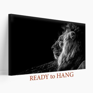 Black And White Lion Canvas Print, Lion Canvas Print, Wild Cats, Lions Wall Art, Animals Print, Home Decor  Lion King, Boss Gift