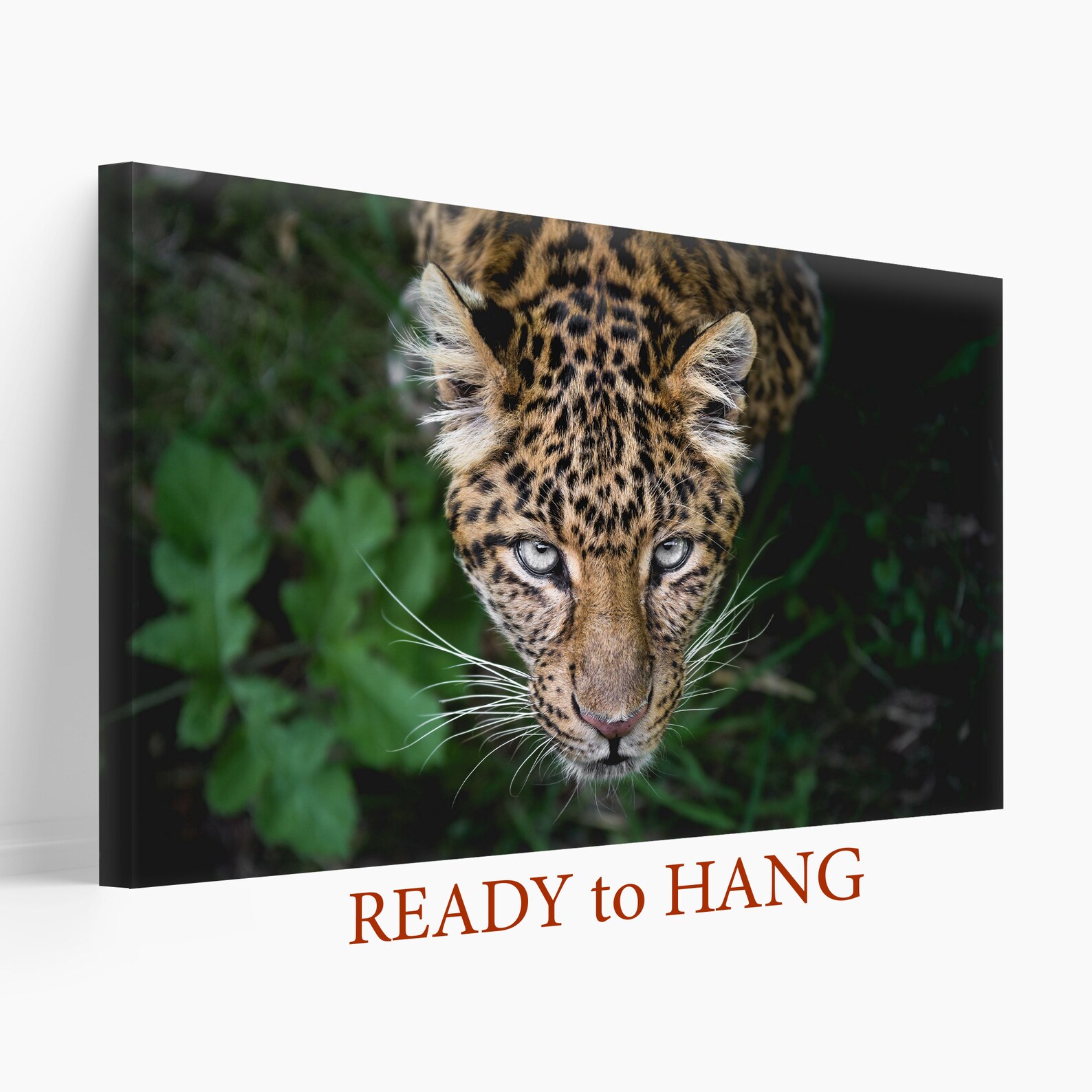 Leopard Print, Leopard Canvas Art, Leopard Wall Art, Wild Nature