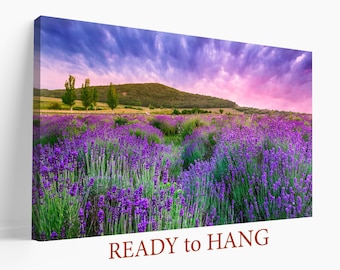 May include: A field of purple lavender flowers in bloom under a cloudy sky with a pink and purple sunset. The field is surrounded by green hills and trees.