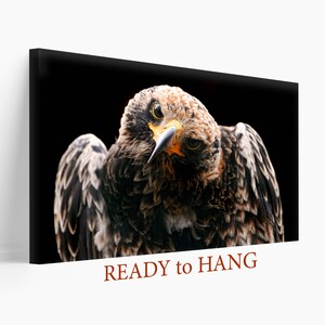 Eagle Decor, Eagle Canvas Print, Wild Nature Wall Art, Hunting Wall Art, Eagle Print