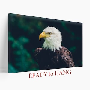 Bald Eagle Decor, Eagle Canvas Print, Wild Nature Wall Art, Hunting Wall Art, Eagle Print