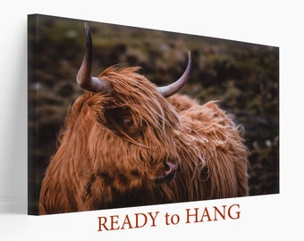 Highland Cow Canvas Print, Farmhouse Wall Art, Cow Poster, Animals Wall Art