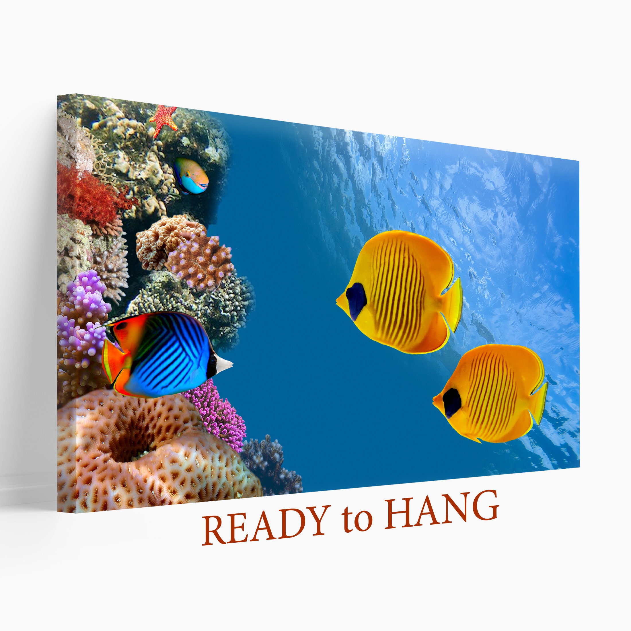 Underwater Wall Art Ocean Life Canvas Print Fish Wall Art | Etsy