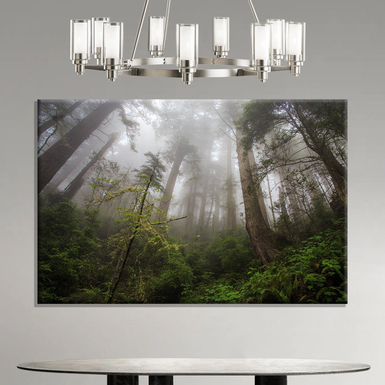 Misty Forest Wall Art Misty Forest Canvas Print Forest Wall Etsy