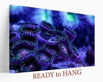 Coral Wall Art, Abstract Wall Decor, Underwater World Canvas Print, Coral Reef Art, Ocean Reef Poster, Underwater Wall Art