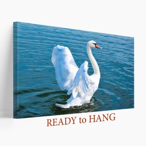 Lienzo de cisne blanco, impresión abstracta de cisne, arte romántico de pared con foto de cisne, foto de cisne, lienzo de amor, regalo de amor, lienzo romántico