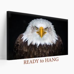 American Bald Eagle Canvas Art, Eagle Print, Eagle Poster, Wild Birds Wall Art Eagle Photo Hunter Gift Hunting Wall Art USA Eagle