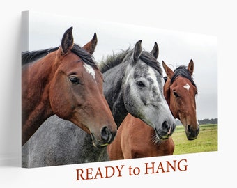 Horses Canvas Print, Horses Wall Art