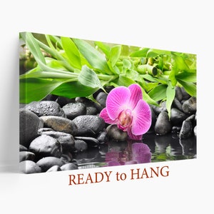 May include: A pink orchid flower rests on smooth black stones with green bamboo leaves and water reflecting the flower.