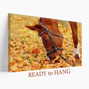 Tela de cavalo de outono, decoração de parede de cavalo, pôster de cavalo selvagem, decoração de parede de animais, impressão de cavalo de outono