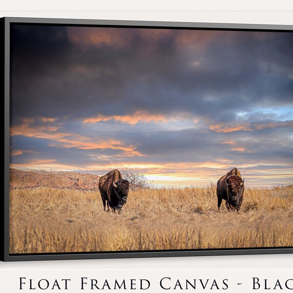 Spiritual Buffalo Wall Art Photography, Available in Oversize Canvas, Framed, Mounted, or Paper, Western and Rustic Decor, Gift Idea