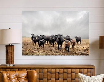 Black Angus Cattle Wall Art Print – Farm Ranch Cow Photography, Western Farmhouse Decor