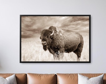 Authentic Bison Photography Wall Art Print – American Buffalo Photo for Rustic Decor