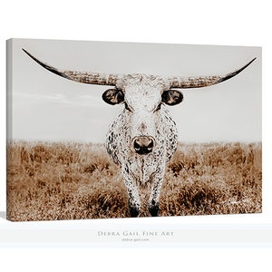 Beautiful White Longhorn Cow Print, Simple Western Decor © Debra Gail Fine Art, Neutral Farmhouse Tones