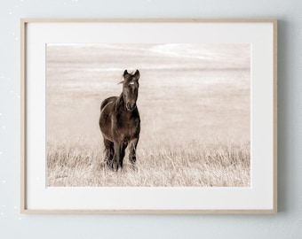 Framed Horse Canvas Wall Art - Wild Horse Photo Print - Minimalist