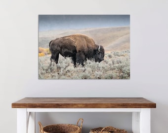 May include: A rectangular wall art print featuring a large American bison with dark brown fur and a lighter tan hump, grazing in a field of sagebrush. The background shows rolling hills under a soft, overcast sky, creating a natural landscape scene.