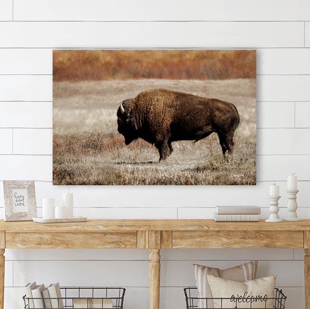 Bison Wall Art Print – Western Landscape Photography – Rustic Prairie ...