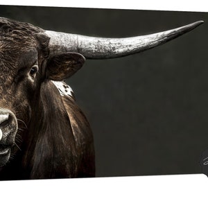 MINIMALIST Longhorn Cow Picture, Cattle Canvas Print, Western Home Decor, Debra Gail Cow Wall Art in Modern Neutral Farmhouse Colors, Rustic