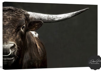 MINIMALIST Longhorn Cow Picture, Cattle Canvas Print, Western Home Decor, Debra Gail Cow Wall Art in Modern Neutral Farmhouse Colors, Rustic