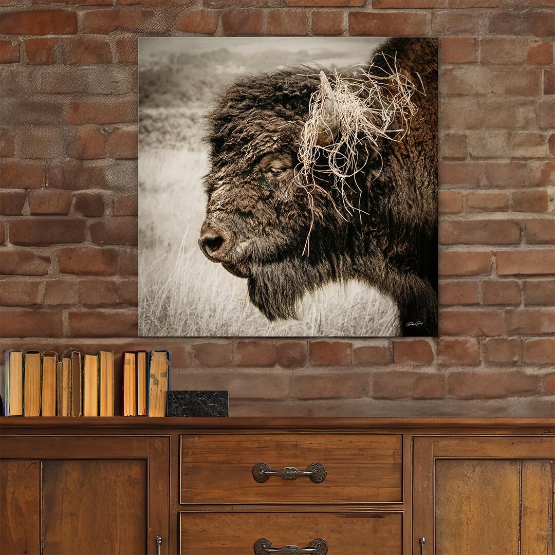 Bison Wall Art American Buffalo Prairie Wall Art Picture Western Decor ...