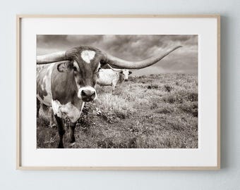 Texas Longhorn Calf Farmhouse Decor Picture - Western Cattle Photography Decor Print in Sepia